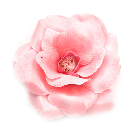 Wild Rose (01) Rose dark