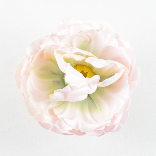 Buttercup (03) Rose light