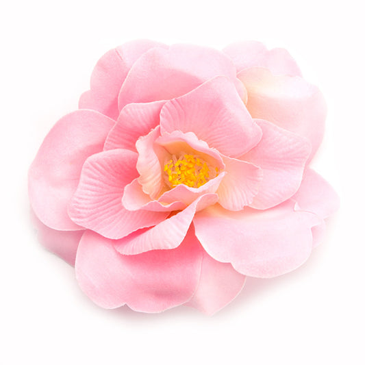 Wild Rose (05) Bubblegum