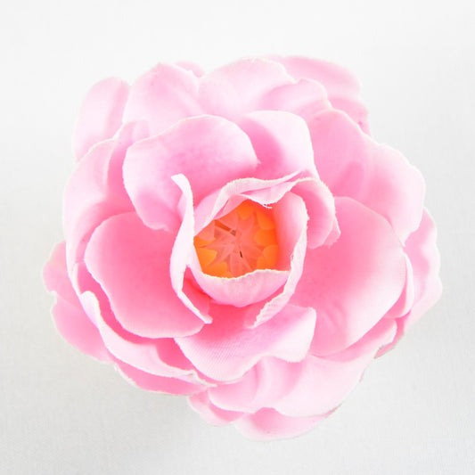 Buttercup (06) Candyfloss