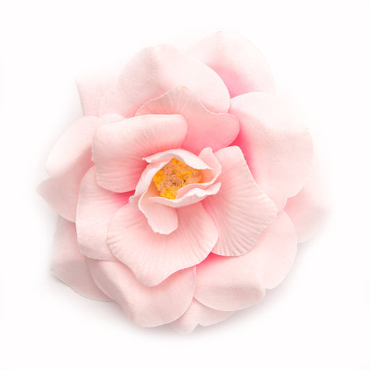 Wild Rose (06) Candyfloss