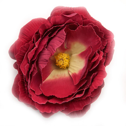 English Rose (09) Cherry