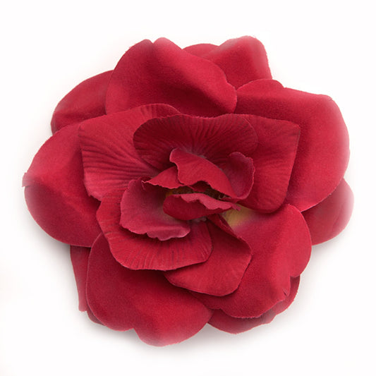 Wild Rose (09) Cherry