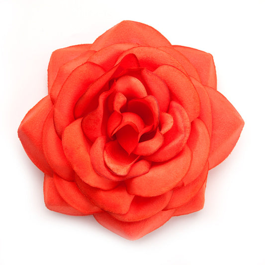 Big Rose (15) Orange coral