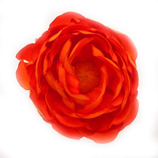 Buttercup (14) Orange