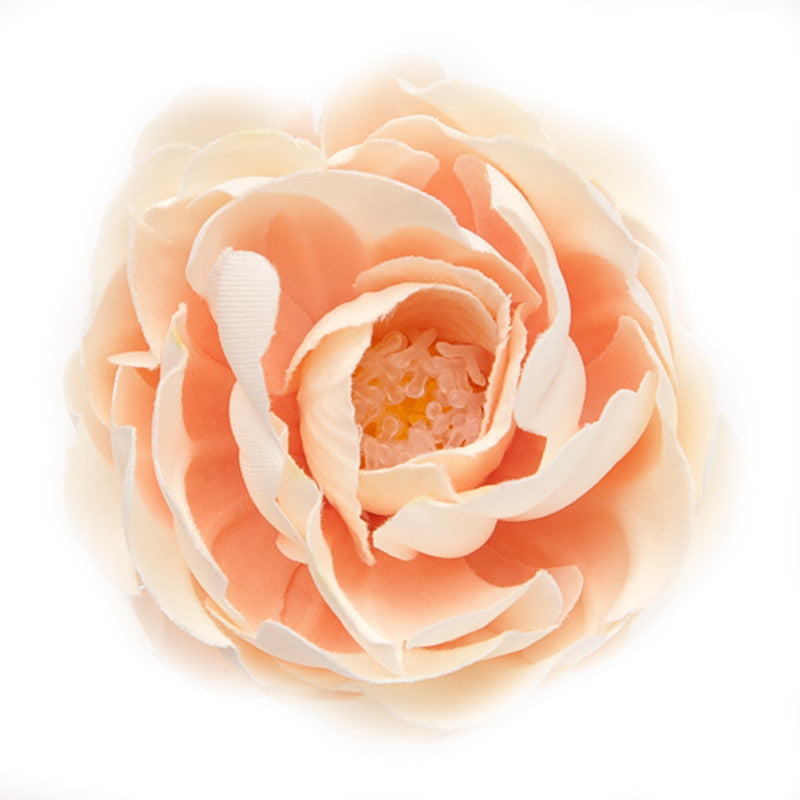 Buttercup (17) Ivory