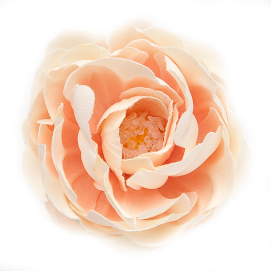 Buttercup (17) Ivory