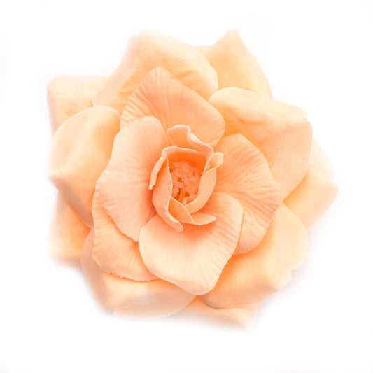 Wild Rose (18) Beige