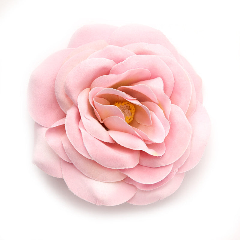 Big Rose (02) Rose
