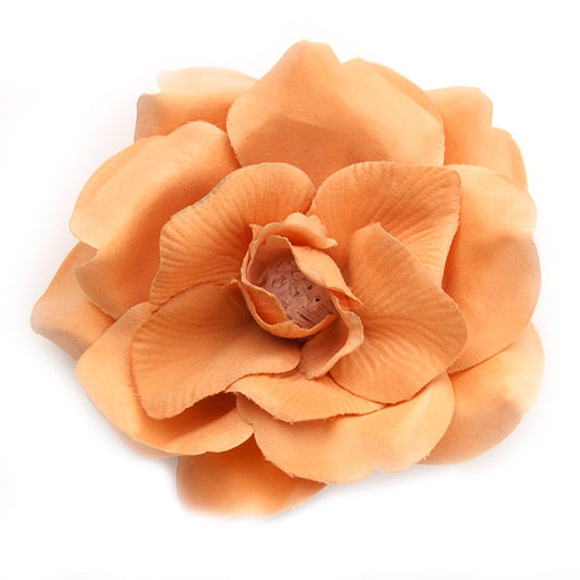 Wild Rose (20) Curry