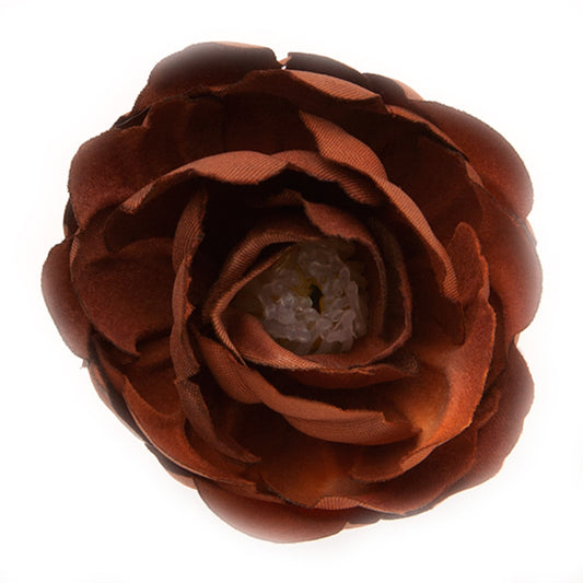 Buttercup (21) Brown