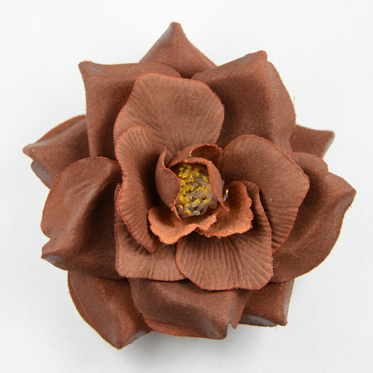 Wild Rose (22) Coffée