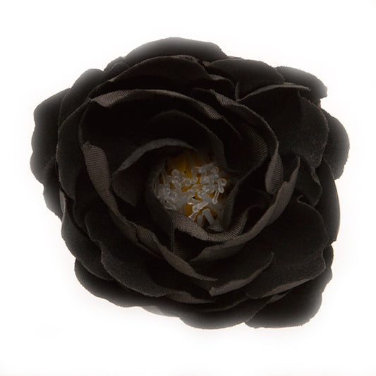 Buttercup (23) Black