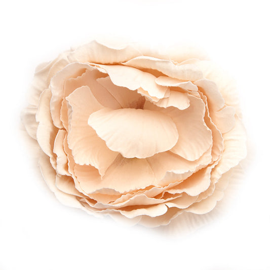 English Rose (26) Créme