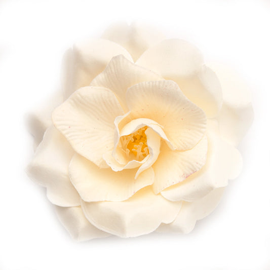 Wild Rose (26) Créme