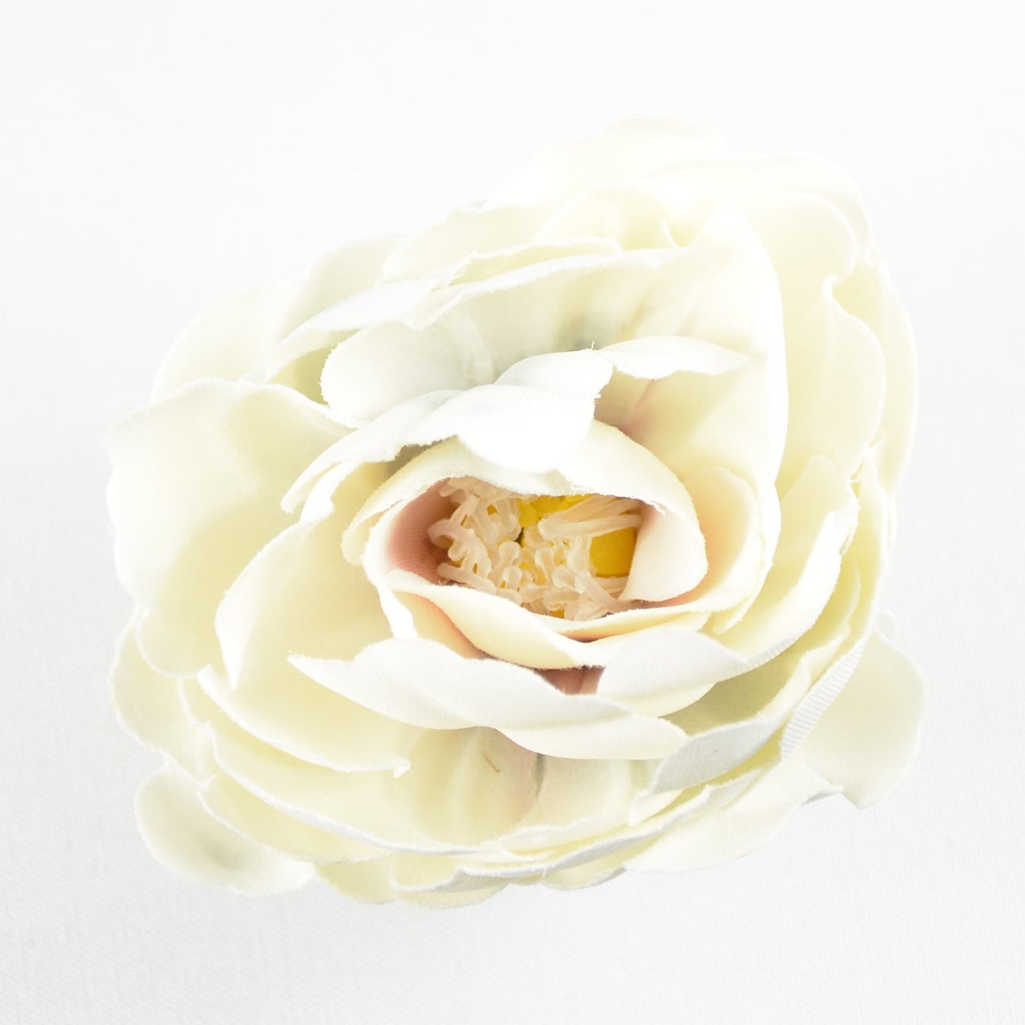 Buttercup (27) Pearl