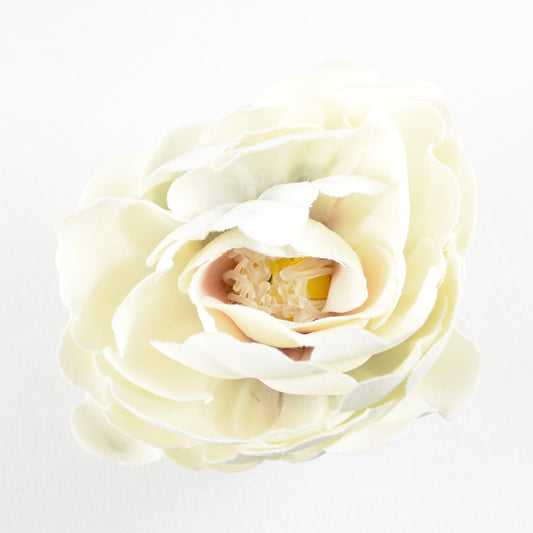 Buttercup (27) Pearl