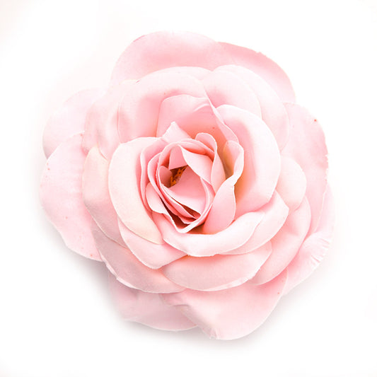 Big Rose, (03) Rose light