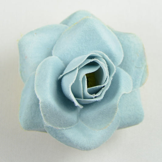 Mini Rose (37) Blue light