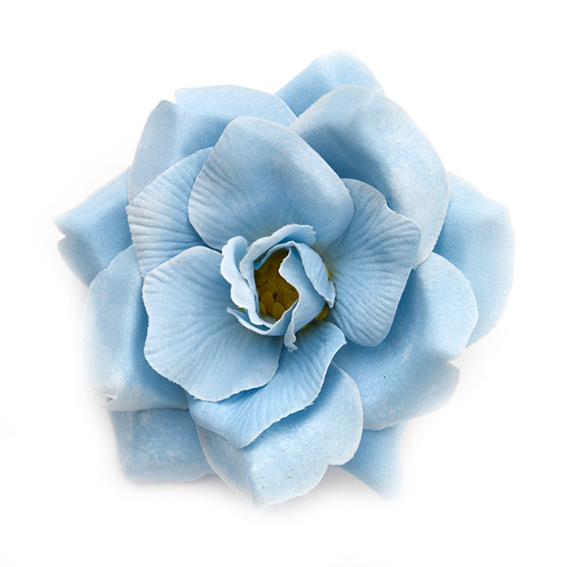 Wild Rose (37) Blue light