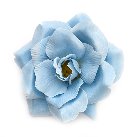 Wild Rose (37) Blue light