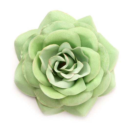 Big Rose (40) Green Light