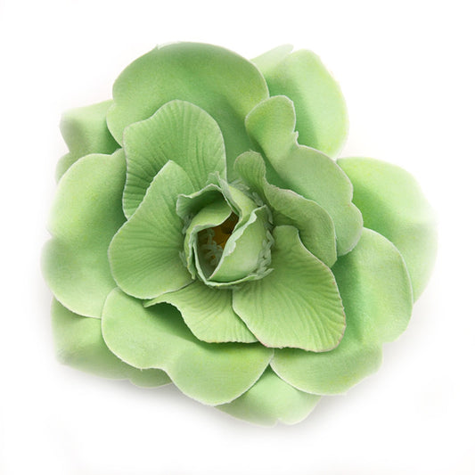 Wild Rose (40) Green light