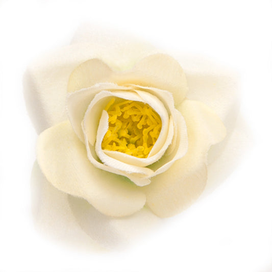 Mini Rose (43) Ecrú