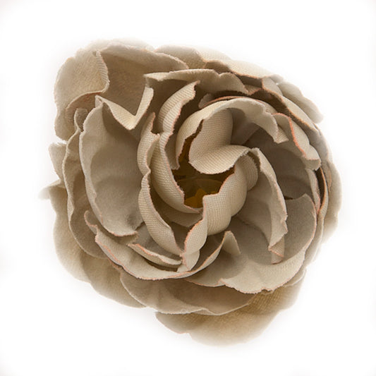 Buttercup (44) Nepal