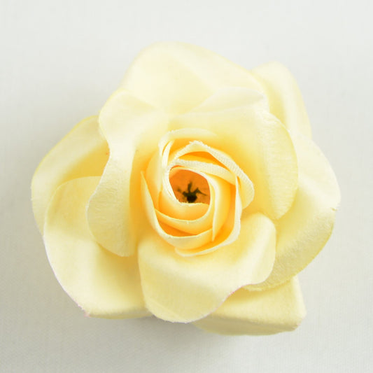 Mini Rose (52) Melon