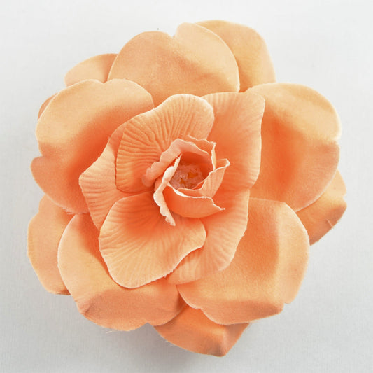 Wild Rose (64) Salmon