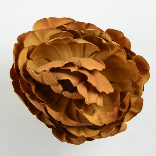 Buttercup (66) Cobber