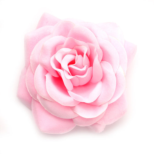 Big Rose (06) Candyfloss