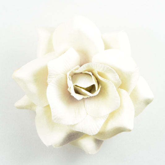 Wild Rose (70) Frost