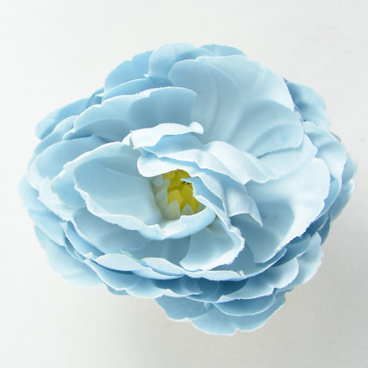 Buttercup (73) Blue sky