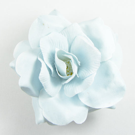 Wild Rose (73) Blue sky