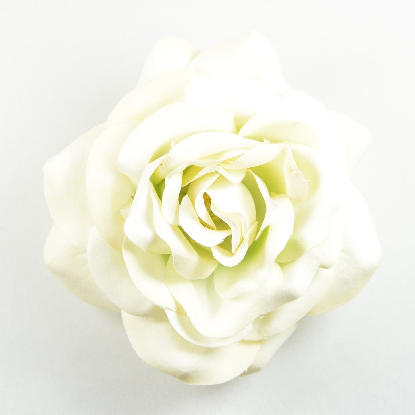 Big Rose (76) Bright Ecru