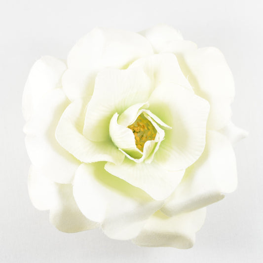 Wild Rose (76) Bright Ecru