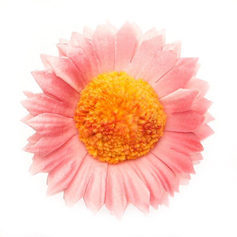 Daisy, Rose