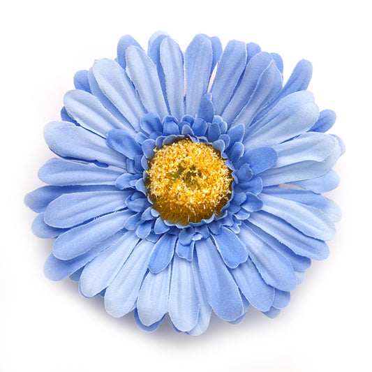 Big Daisy, Blue