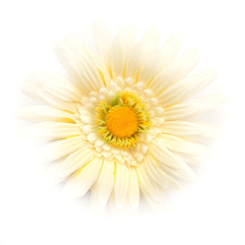 Big Daisy, Ecrú