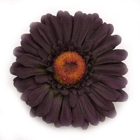 Big Daisy, Lilac dark