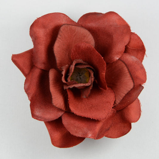 Wild Rose (68) Scarlet