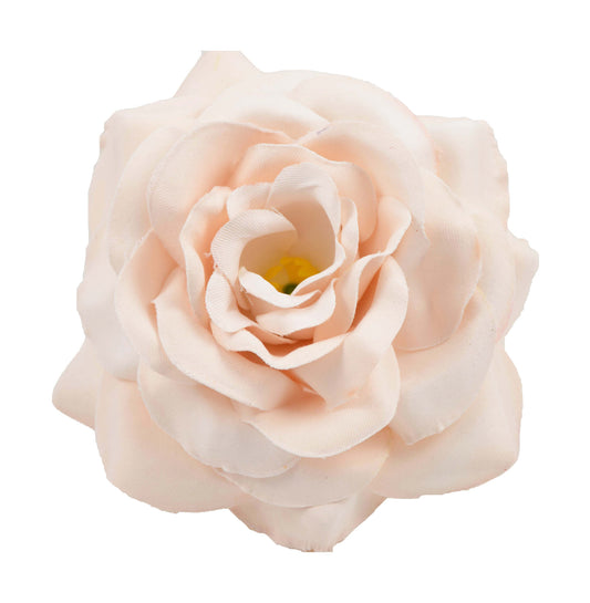 Big Rose (53) Skinn