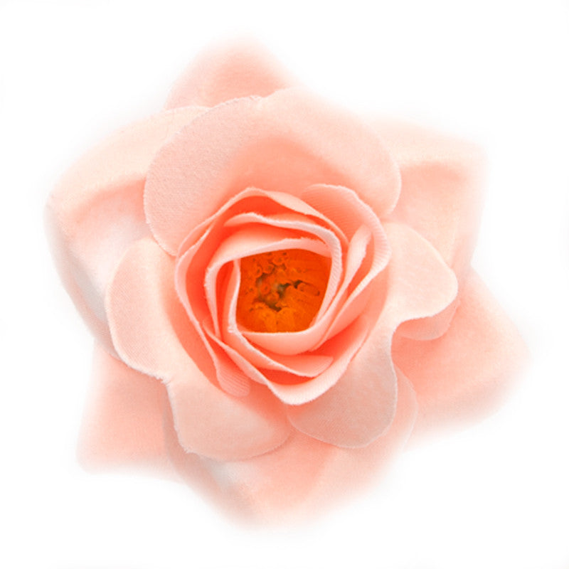 Mini Rose (04) Romance