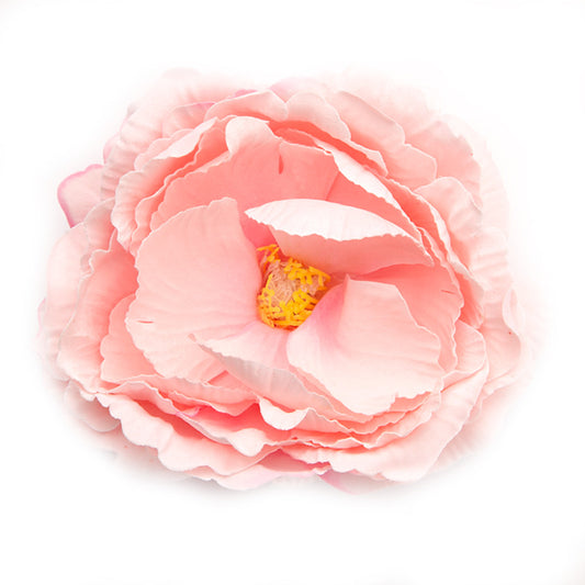 English Rose (06) Candyfloss