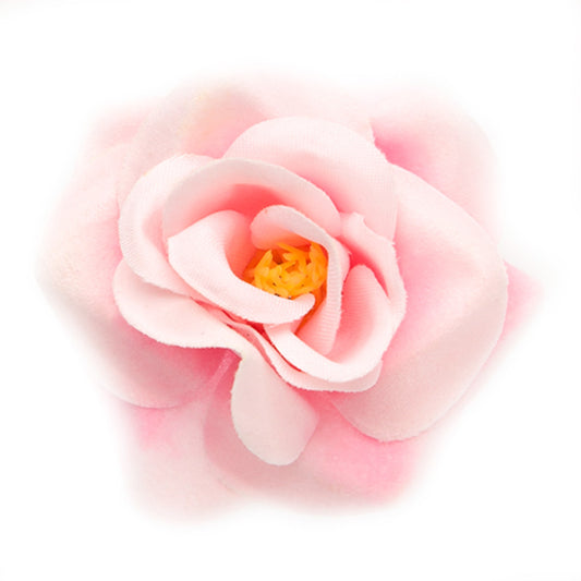Mini Rose (06) Candyfloss