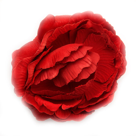English Rose (12) Red