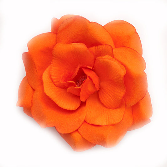Wild Rose (14) Orange