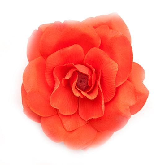 Wild Rose (15) Orange coral